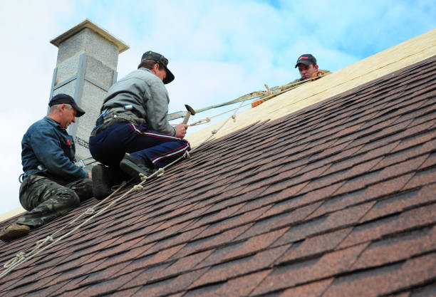 Best Roofing Contractors for Homes  in Rutherford College, NC